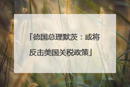 德国总理默茨：或将反击美国关税政策